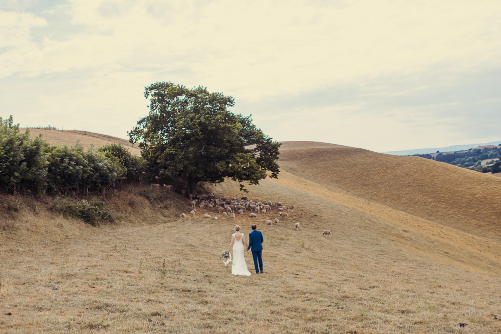 Incredible landscape image with Bride & Groom walking in a field with sheep and tree in the background 